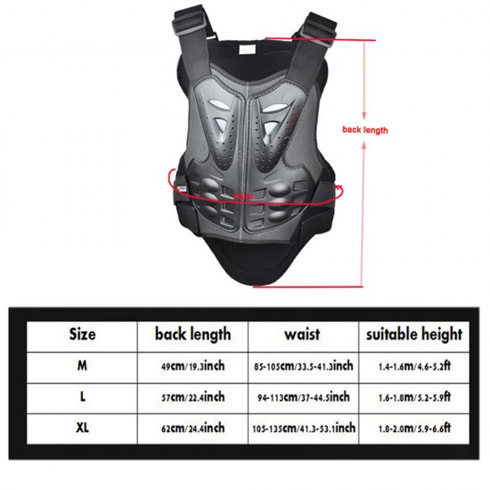 Back Protector