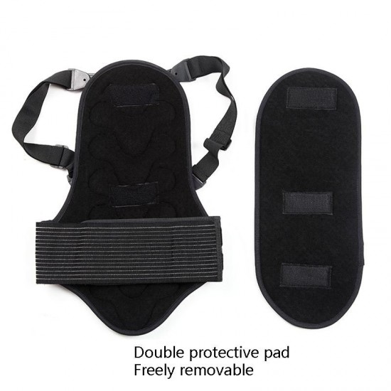 Back Protector