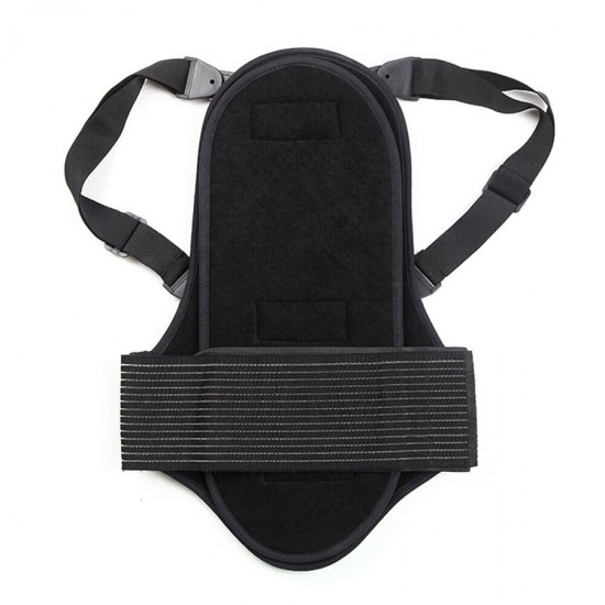 Back Protector